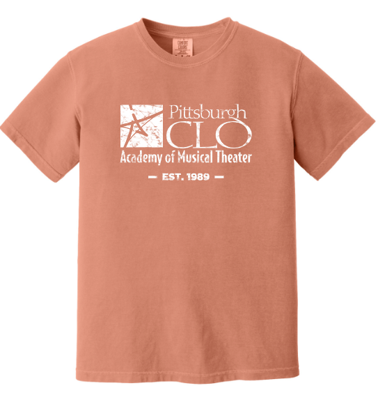 CLO ACADEMY YOUTH & ADULT VINTAGE WASHED HEAVYWEIGHT T-SHIRT IN 4 COLORS