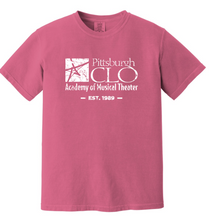 Load image into Gallery viewer, CLO ACADEMY YOUTH &amp; ADULT VINTAGE WASHED HEAVYWEIGHT T-SHIRT IN 4 COLORS